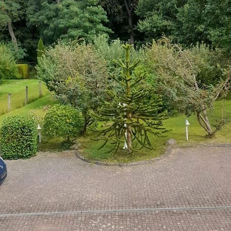 Pension Zum Park Goldberg المظهر الخارجي الصورة
