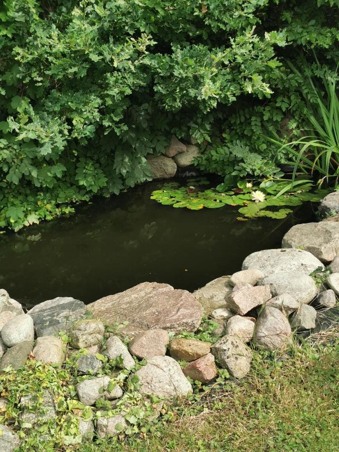 Pension Zum Park Goldberg المظهر الخارجي الصورة