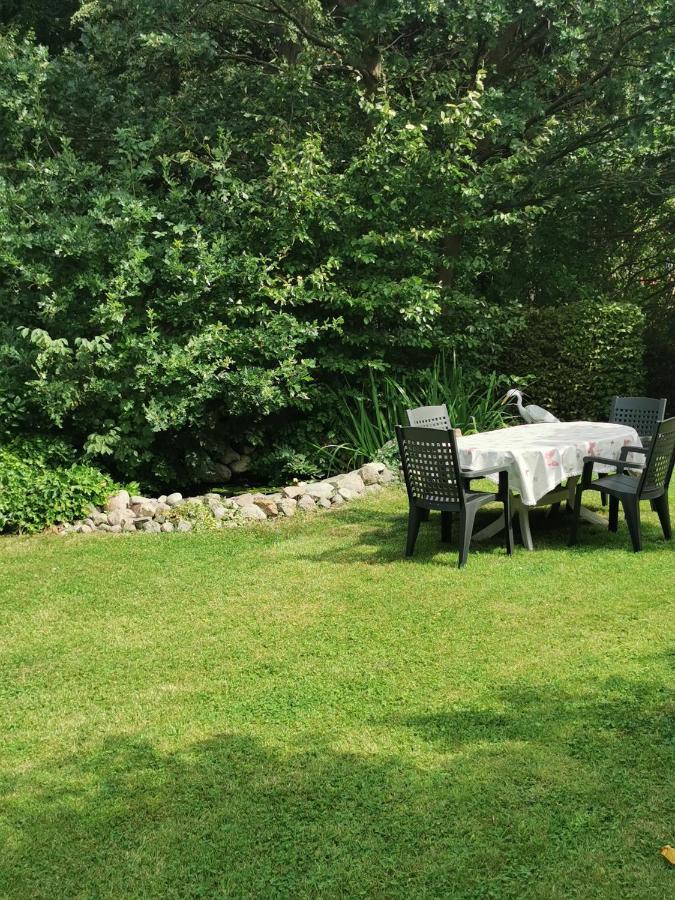 Pension Zum Park Goldberg المظهر الخارجي الصورة
